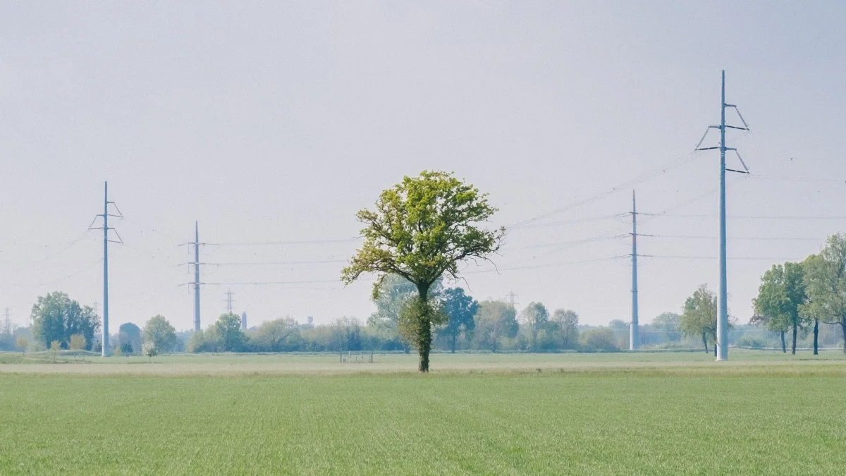Stromtarife vergleichen: So findest du einen fairen Anbieter